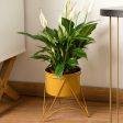 Flower Pot Stand Vinthera Moa Steel 19 x 20 cm Online Hot Sale