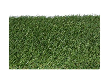 Astro-turf EDM Gracefull (1 x 5 m) Hot on Sale