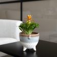 Planter Vinthera Moa Multicolour Ceramic 13 x 11 cm Hot on Sale