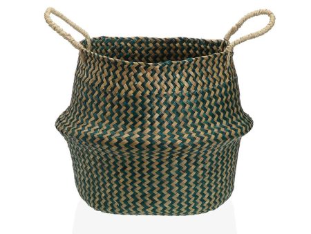 Decorative basket Versa Green Marine algae Ø 28 cm Online Hot Sale