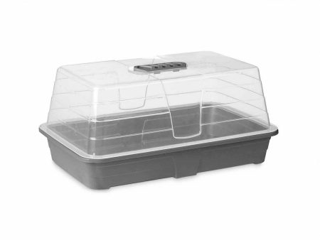 Greenhouse Grey Transparent Plastic 38,4 x 17,5 x 24,7 cm (8 Units) For Discount