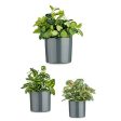 Set of pots Ø 14 cm Ø 22 cm Ø 17 cm Cylinder 3 Pieces Anthracite Hot on Sale