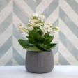 Planter Vinthera Moa Dark grey Ceramic 12,5 x 10,5 cm Sale