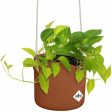 Hanging Planter Elho   Plastic Ø 30 cm Hot on Sale