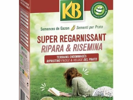 Seeds KB Kregfac100 Grass Fast 2 Kg 100 m² Online