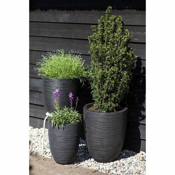 Planter Capi Europe Black Plastic Circular 34 x 34 x 46 cm For Cheap