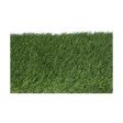 Astro-turf EDM 75829 gracefull Green 2 x 5 m Supply