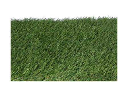 Astro-turf EDM 75829 gracefull Green 2 x 5 m Supply