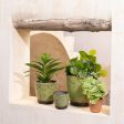 Planter Pistachio Ceramic 11,5 x 11,5 x 11 cm Cheap