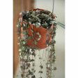 Hanging Planter Elho   Plastic Ø 30 cm Hot on Sale