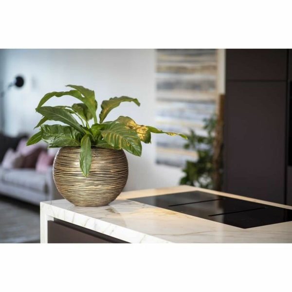 Planter Capi Europe Golden Plastic Circular Ø 40 cm For Discount